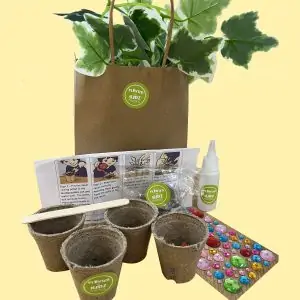 Built By Kidz Activities - Workshops | Woodwork Party Box IMG 0339 etch copy scaled